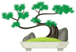 BONSAI